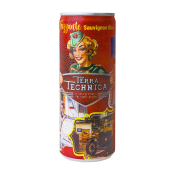 Terra Technica Frizzante Sauvignon Blanc 0,25l 13,1%