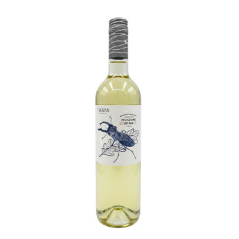 THAYA Grüner Veltliner 2025 12,5% 0,75 l