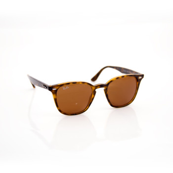 Ray Ban Sonnenbrille RB4258 710/73 50